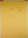 The 52 Stages of Printmaking