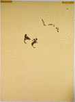 The 52 Stages of Printmaking