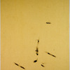 The 52 Stages of Printmaking