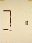 The 52 Stages of Printmaking