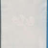 Padina deusta