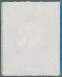 Rhodomenia sobolifera