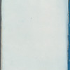 Laurencia tenuissima