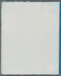 Chylocladia clavellosa