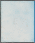 Sphaerococcus coronopifolius