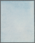 Callithamnion gracillimum [loose plate]
