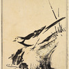 Bird near water