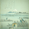 Gathering seaweed (nori)