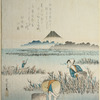 Gathering seaweed (nori)