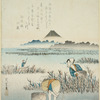 Gathering seaweed (nori)
