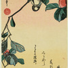 Camellia and bird