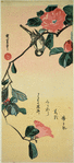Camellia and bird