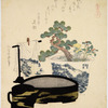 Miniature landscape with robe and bonsai