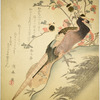 Pheasant and peach blossoms