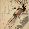 Pheasant and peach blossoms