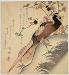 Pheasant and peach blossoms