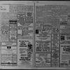 The Villager