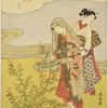 Hagi (Lespedeza or bush clover)