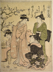 Women viewing a plum tree in bloom