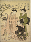 Women viewing a plum tree in bloom