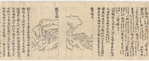 Hoyo sho
