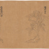 Koyaku zukan