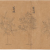 Koyaku zukan