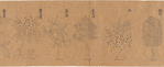Koyaku zukan