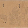 Koyaku zukan