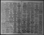 The Villager