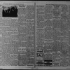 The Villager