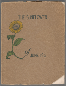 The sunflower 