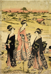 The Foxes Wedding Reception (Kitsune no Yomeiri)