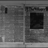 The Villager