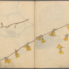 Sketchbook