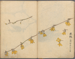 Sketchbook