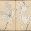 Sketchbook