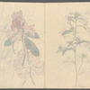 Sketchbook