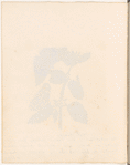 Watercolor illustration of the nettle butterfly, in various life stages, on the leaves of a plant, with manuscript description, signed “M.P., 1824”