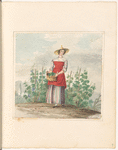 Mounted watercolor of a lady gathering grapes