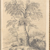 Pencil drawing of a tree and landscape, signed “M.A.F., Feb.y 12th 1821”, leaf 11 (recto)