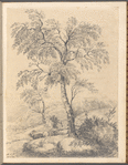 Pencil drawing of a tree and landscape, signed “M.A.F., Feb.y 12th 1821”
