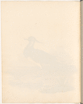 Watercolor of bird at the shore