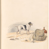 Watercolor of dog, with burlap satchel and jug