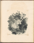 A blot