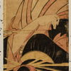 The oiran Ichikawa and Kisagawa of Matsubaya