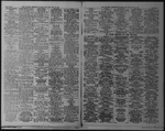 The Villager