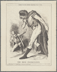 The Irish Frankenstein
