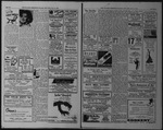 The Villager