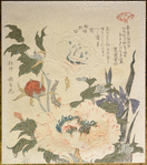 Iris and Peony, from the series Plants for the Kasumi Circle